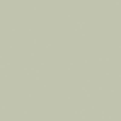 Seagrass