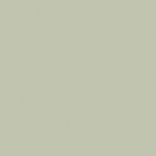 Seagrass