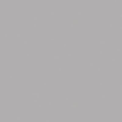 Silver Gray