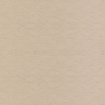 M-704 Shell Surface