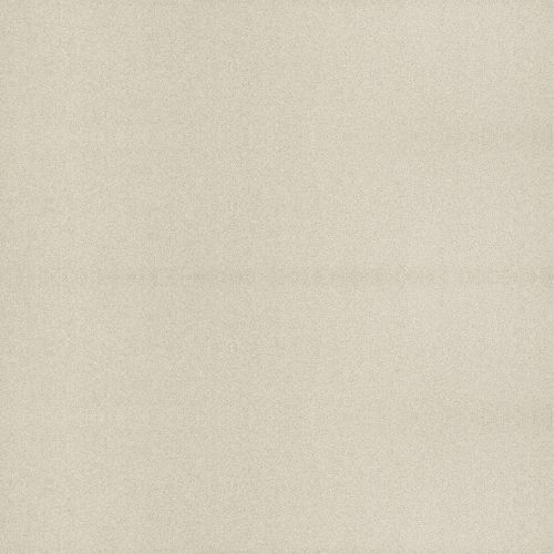 S-206 Wet Sand