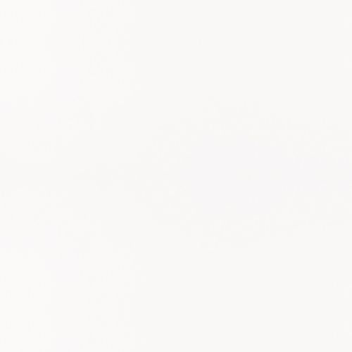 N 010 White