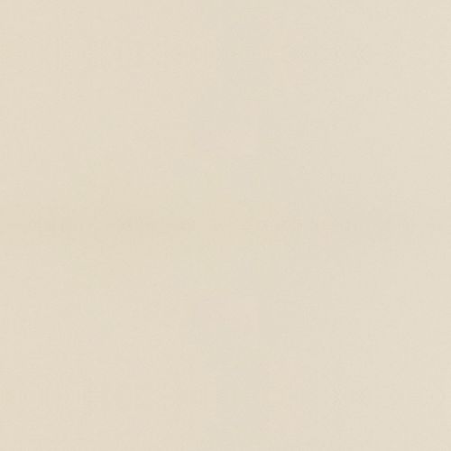 N 421 Sanded Cream