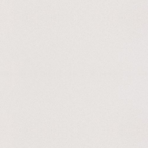 N 610 Milk Snow
