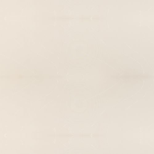 NM 220 White Mist