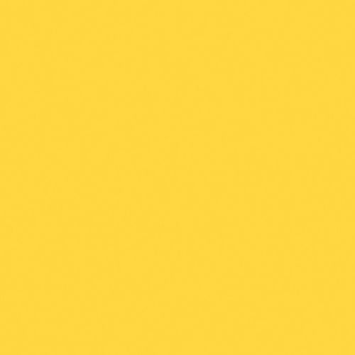 Sunflower N SS042