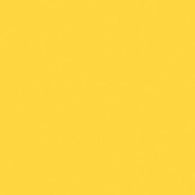 Sunflower N SS042